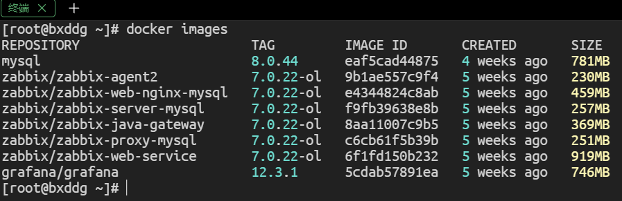Docker 常用命令科普  ——镜像、容器、网络、日志与运维全流程速查