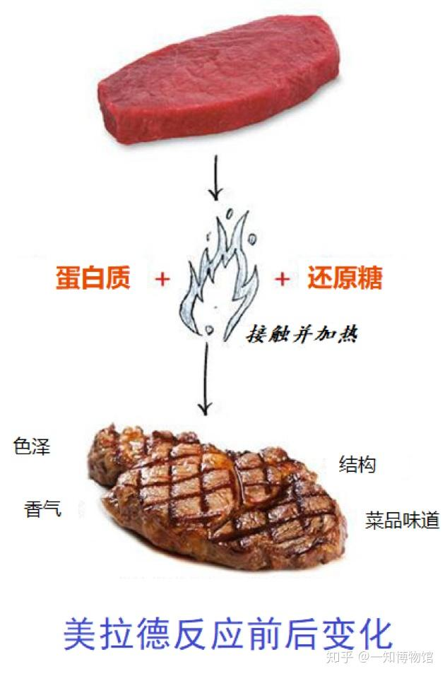 【烹饪科学科普】什么是美拉德反应？——从“变香变色”到风味工程的底层原理