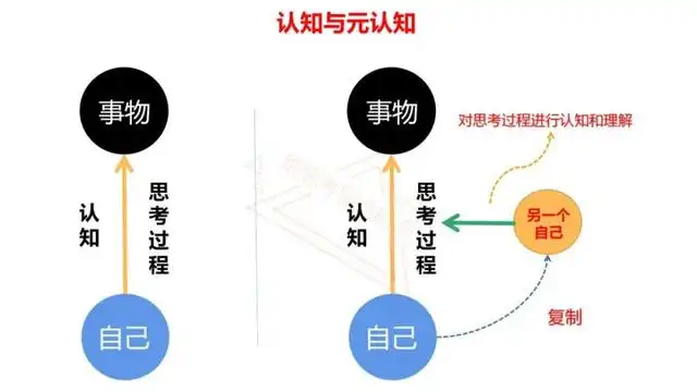【从0开始的认知科学启蒙】元认知：你知道你自己在想什么吗？