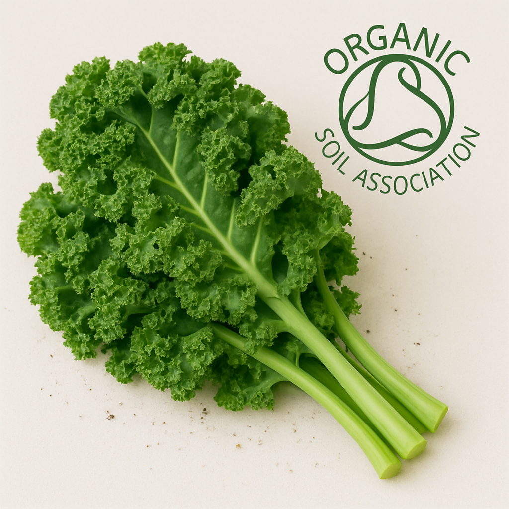 羽衣甘蓝：火锅界的新贵，还是健康的智商税？一文看清它的真面目！